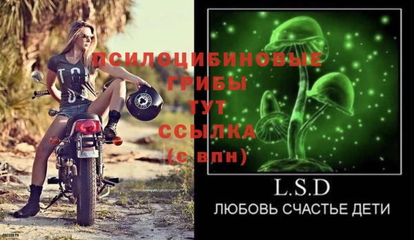 гашик Армянск